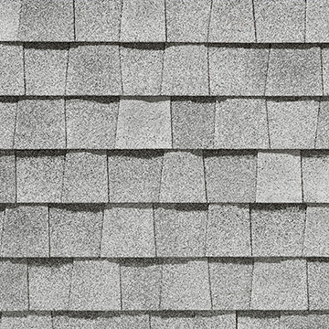 Landmark SilverBirch tile
