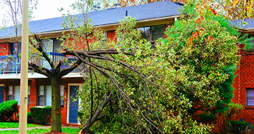 Storm Damage