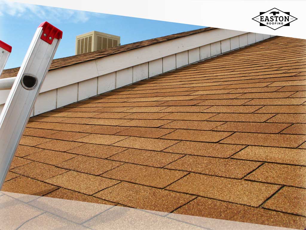 loss roof granule shingles asphalt causes granules gutter foot