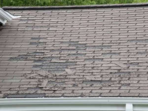 Why You Shouldn’t Ignore Hail Damage