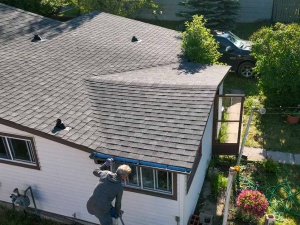 Protecting Your Garden and Exterior During Roof Replacement