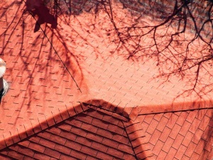 5 Roof-Damaging Debris You Should Watch Out For