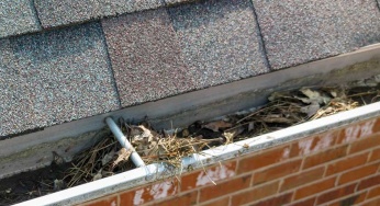 Most Common Culprits Behind Gutter Clogs